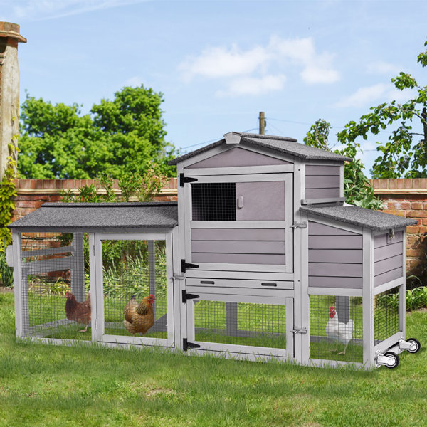 Tucker Murphy Pet™ Anabia 28.9 Square Feet Chicken Coop with Chicken